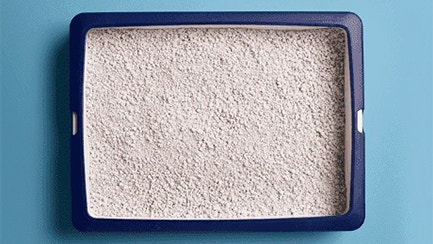 Zbrylający czy niezbrylający żwirek dla kota: wszystko, co musisz wiedzieć