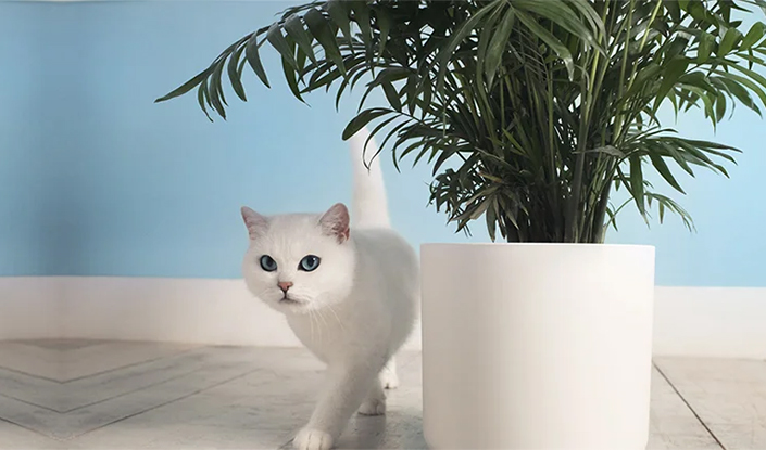 Produkt wylewa się z opakowania